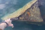 2010_0609_-_North_Shore_of_MN_and_Isle_Royale_(Windigo)_213.jpg