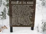 Woods Prayer.jpg