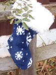 Frost on the stocking.JPG